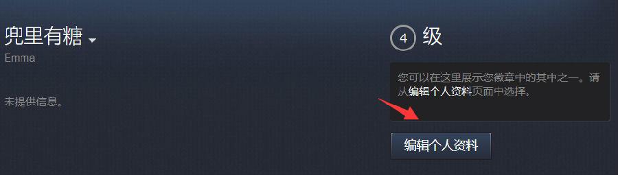 Steam 个人资料的隐私设置入口
